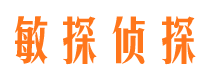 龙子湖捉小三公司